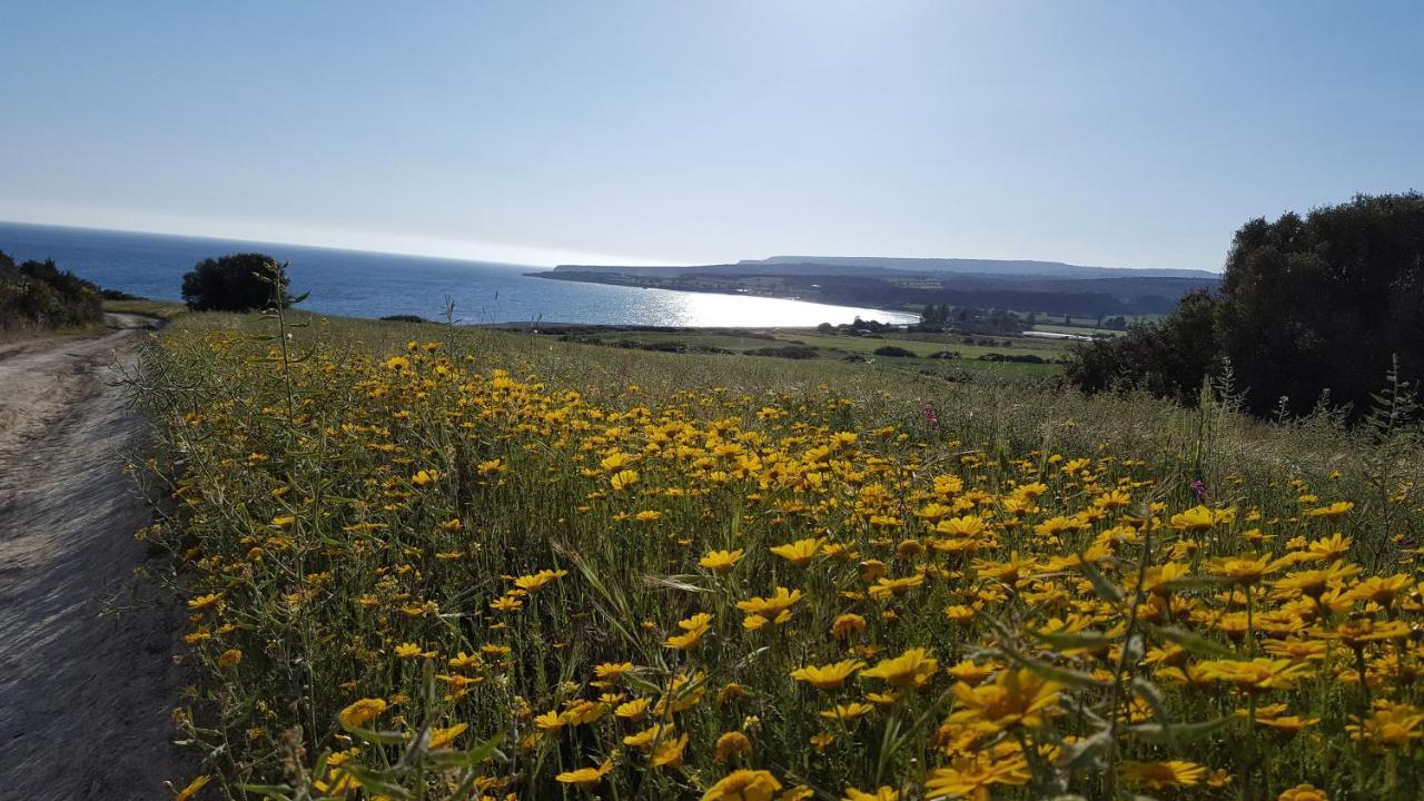 Swimmers' Paradise Пісурі Екстер'єр фото